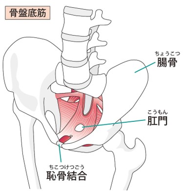 図1