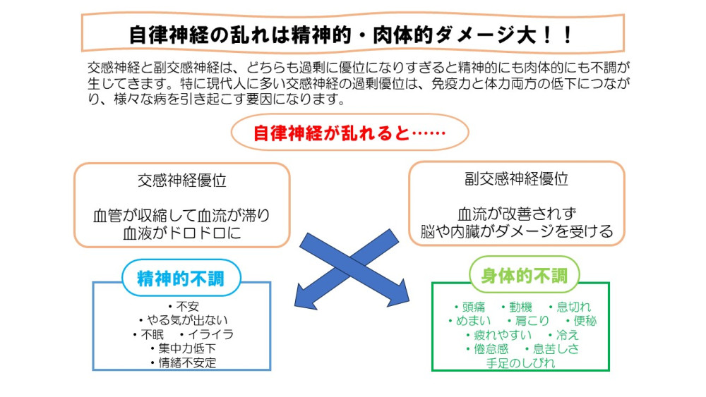 自律神経の説明